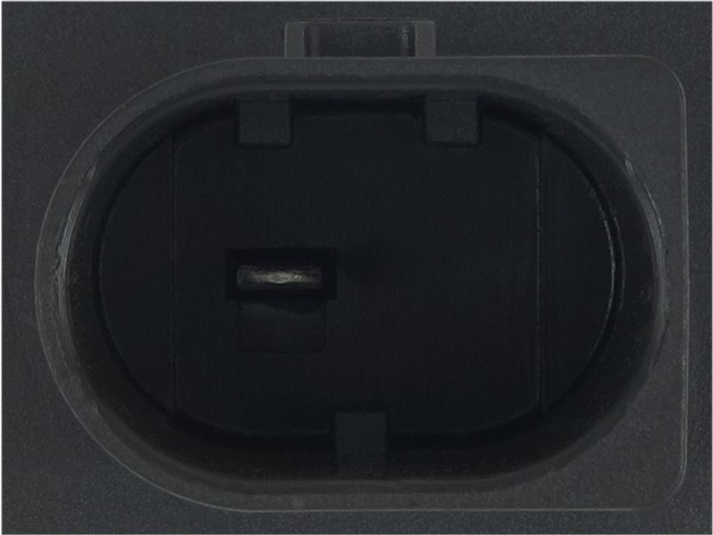475153.JPG