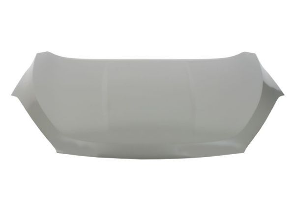 Product Motora pārsegs BLIC 6803-00-8003280P Image