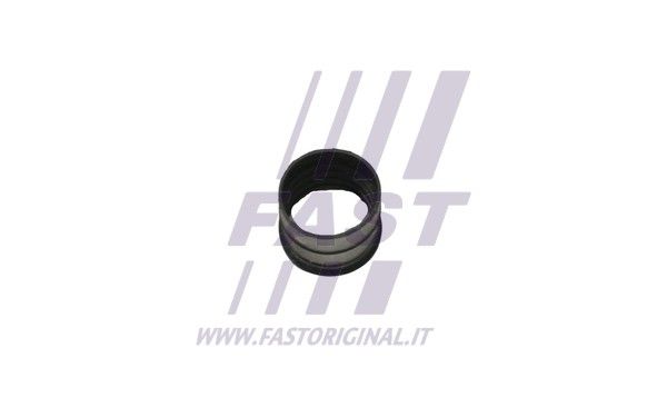 FT48903_3_1.JPG
