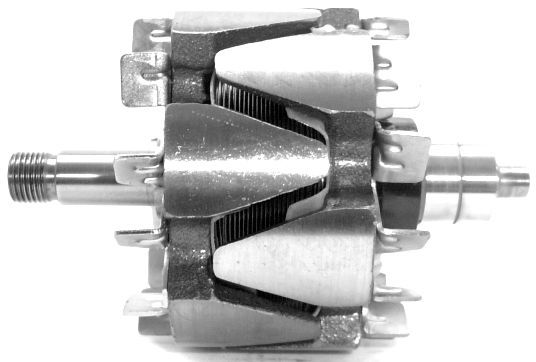 A-1186.JPG