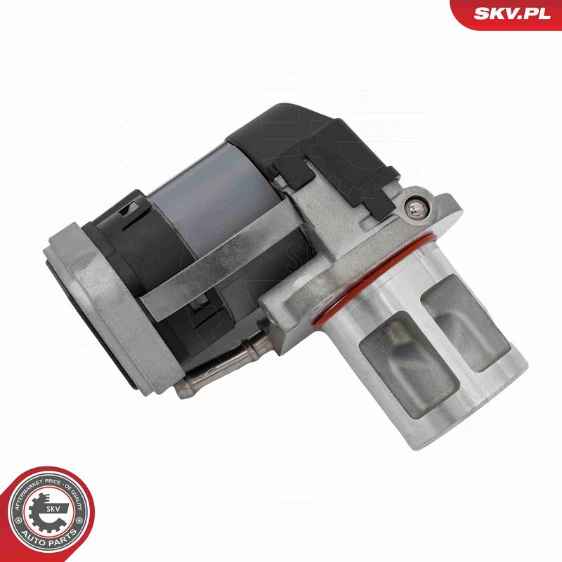ESEN SKV 14SKV310 EGR Valve