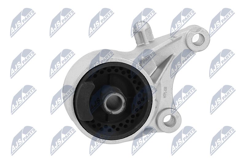 Paigutus, Mootor, NTY ZPS-PL-036