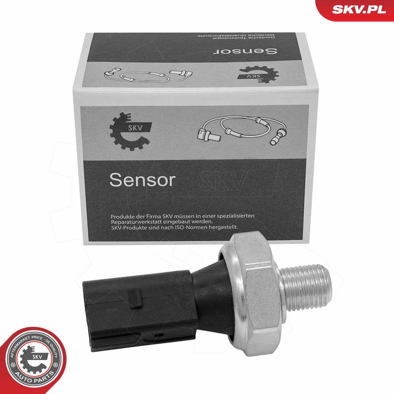 Prekės atitinka OEM kodą: 079 919 081