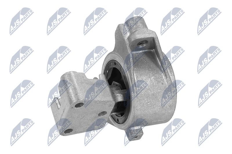 Paigutus, Mootor, NTY ZPS-PE-031