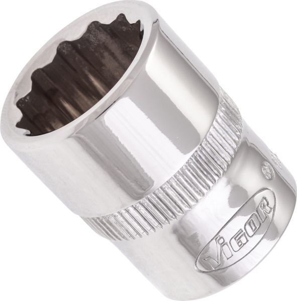 Padrun, VIGOR V7538-15