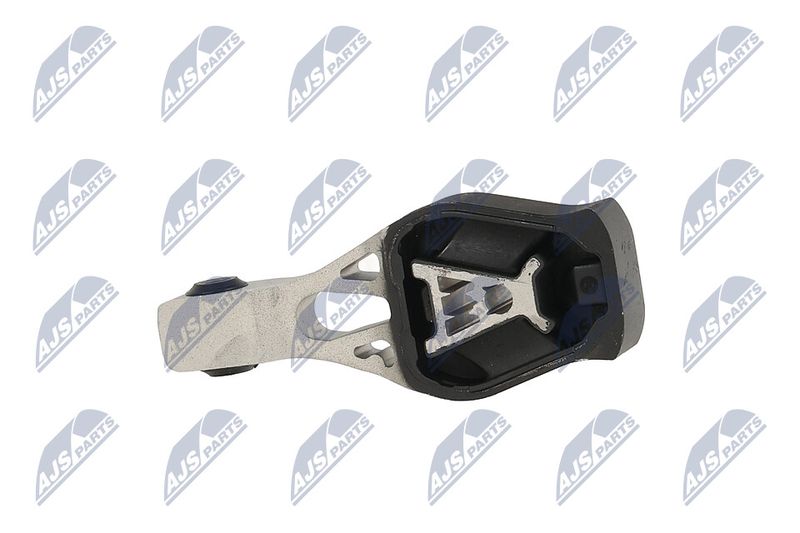 Paigutus, Mootor, NTY ZPS-PE-022