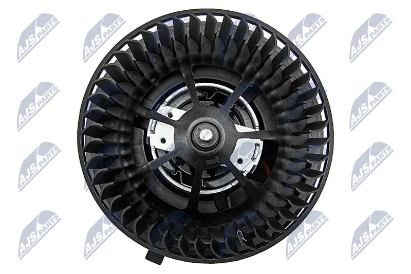 Salongipuhur, NTY EWN-WW-013