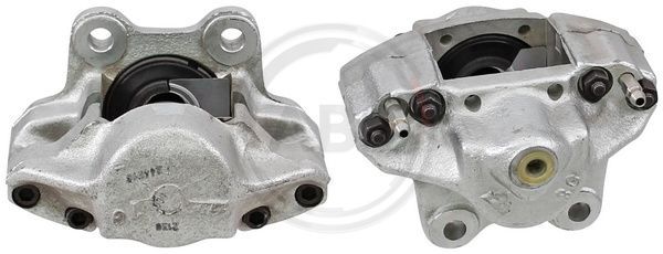 431282.JPG