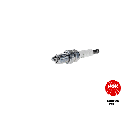 NGK 1269