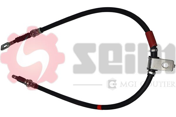 555064.JPG