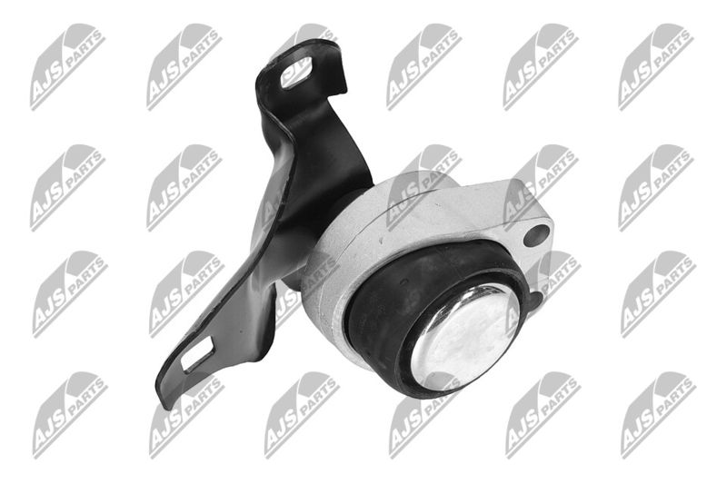 Paigutus, Mootor, NTY ZPS-FR-011