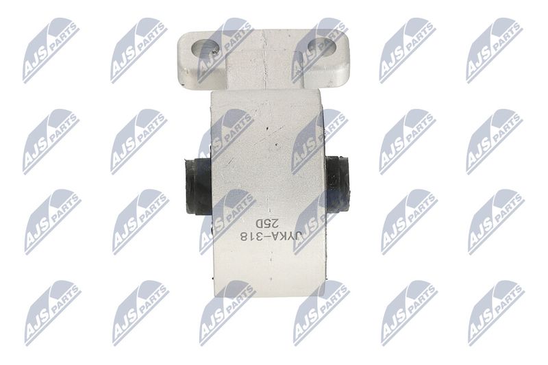 Paigutus, Mootor, NTY ZPS-KA-318