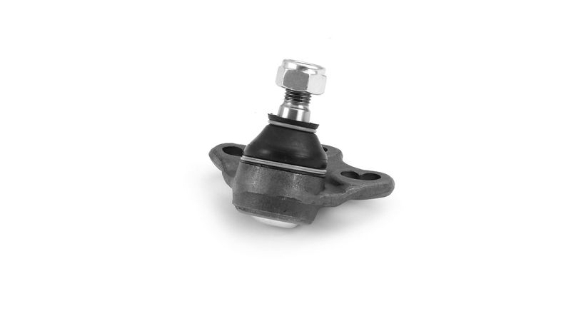 SKF VKDS318019 Šarnyras / girgždukas