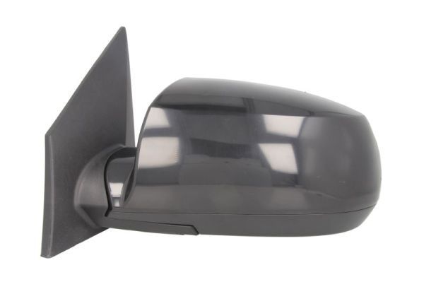 BLIC 5402-53-2001547P Exterior Mirror