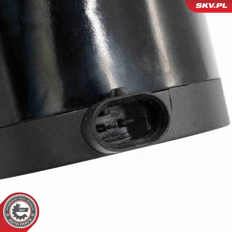 ESEN SKV 22SKV068 Auxiliary Water Pump (cooling water circuit)