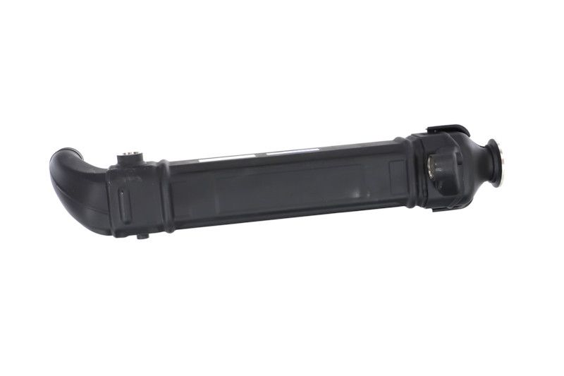 REMANTE 010-001-000025R EGR Module