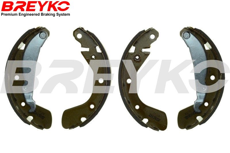 DAVID VASCO W8543 Brake Shoe Set
