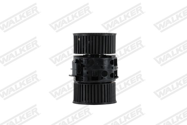 wbl01470_5352159.JPG