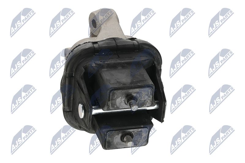 Paigutus, Mootor, NTY ZPS-CH-019