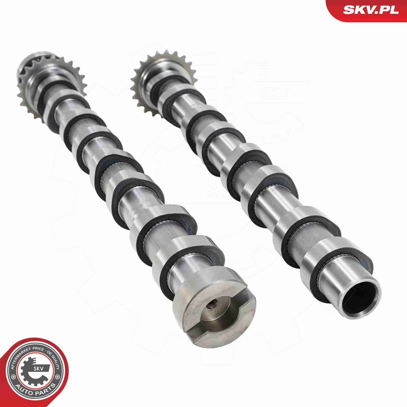 ESEN SKV 21SKV272 Camshaft Kit