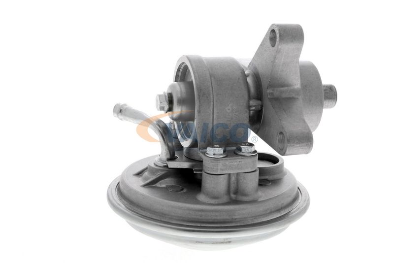 VAICO V25-1907 Mounting, engine