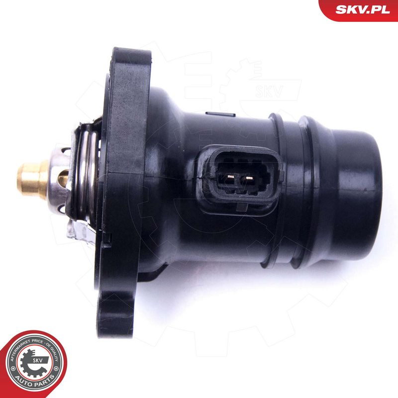 Termostaat, Jahutusvedelik, ESEN SKV 20SKV133