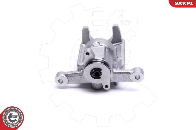 ESEN SKV 44SKV484 Brake Caliper