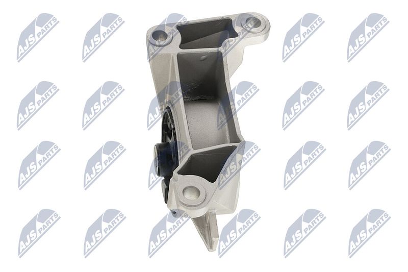 Paigutus, Mootor, NTY ZPS-PL-039