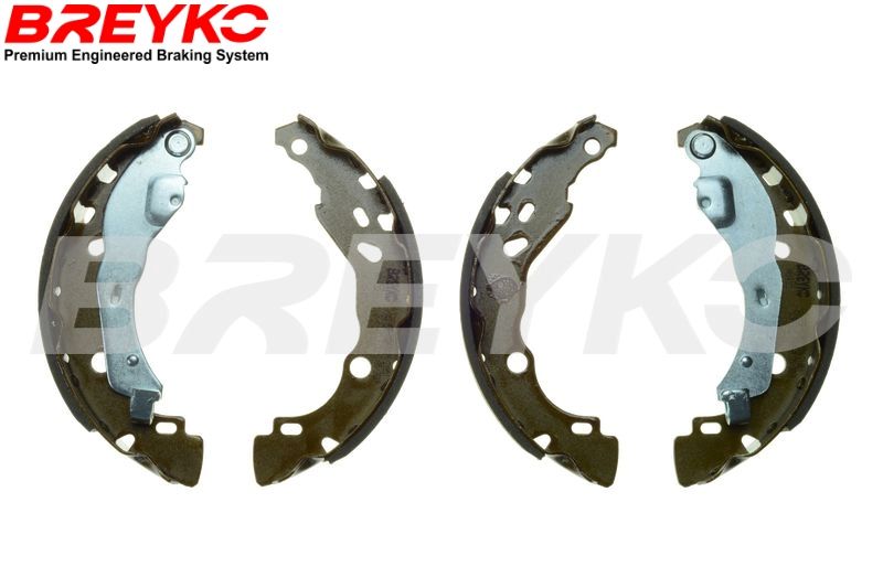 DAVID VASCO W8455 Brake Shoe Set
