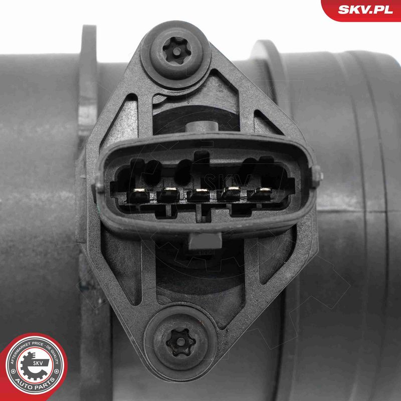 ESEN SKV 07SKV310 Mass Air Flow Sensor