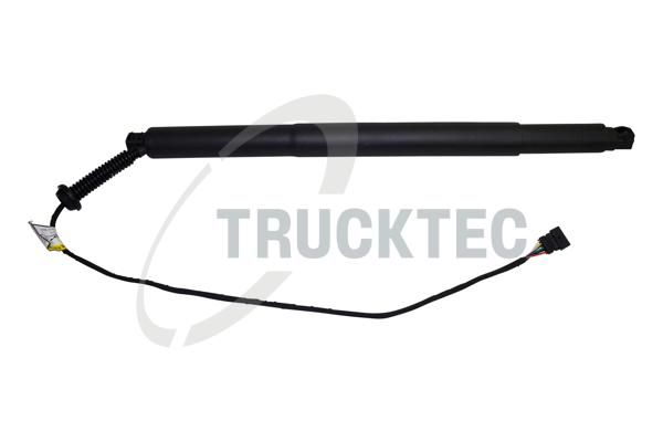 TRUCKTEC AUTOMOTIVE Galinių durų elektros variklis