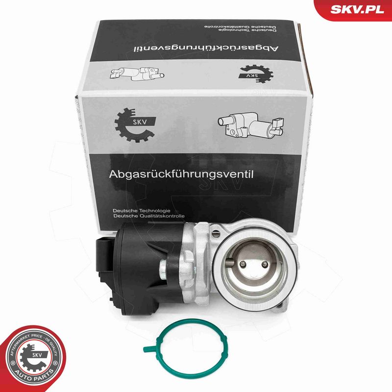 ESEN SKV 14SKV275 EGR Valve