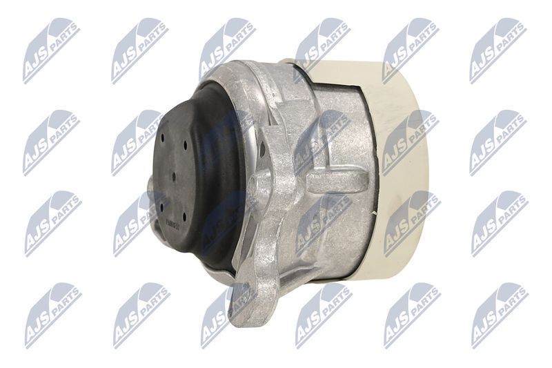 Paigutus, Mootor, NTY ZPS-ME-079