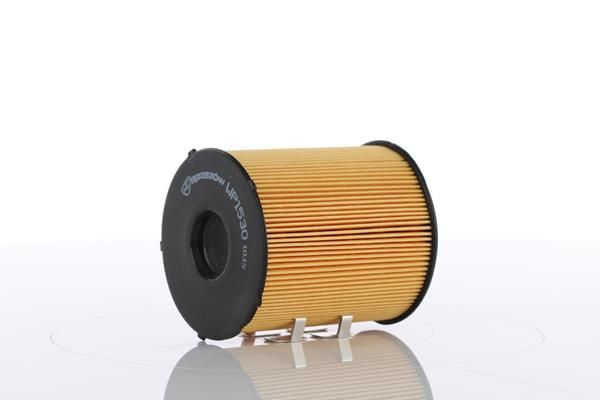 WP1530X.JPG