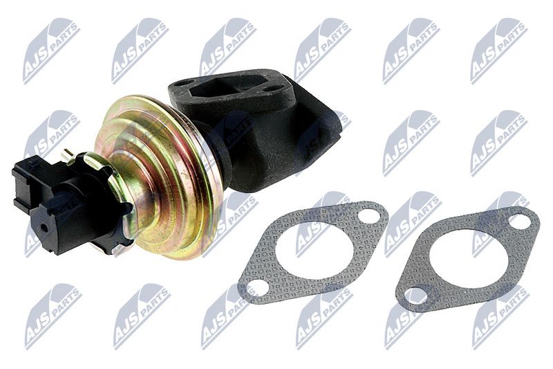 EGR-klapp, NTY EGR-LR-001