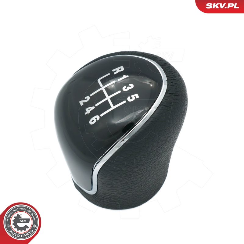 Käigukanginupp, ESEN SKV...