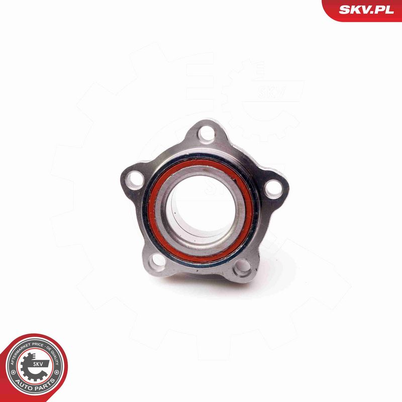 ESEN SKV 29SKV064 Wheel Bearing Kit