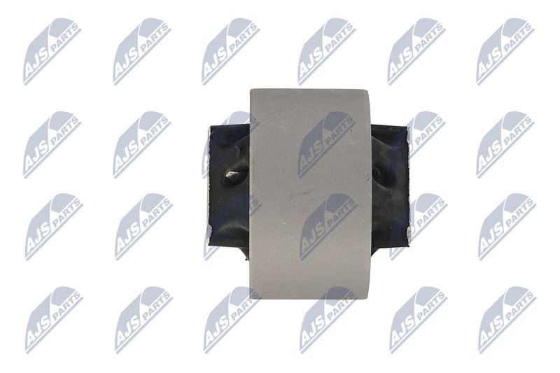 Paigutus, Mootor, NTY ZPS-CH-039