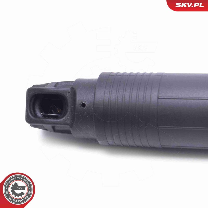ESEN SKV 52SKV959 Electric Motor, tailgate