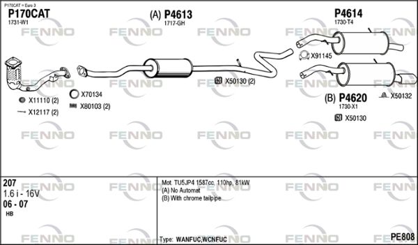 PE808.JPG