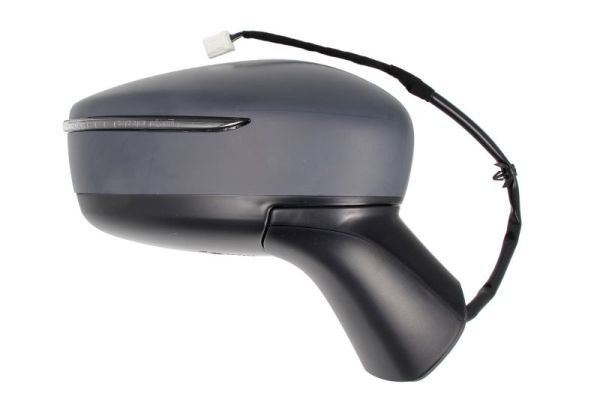 BLIC 5402-16-2001916P Exterior Mirror