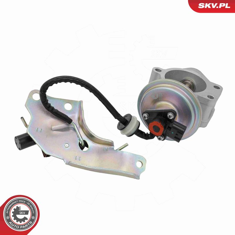 ESEN SKV 14SKV315 EGR Valve