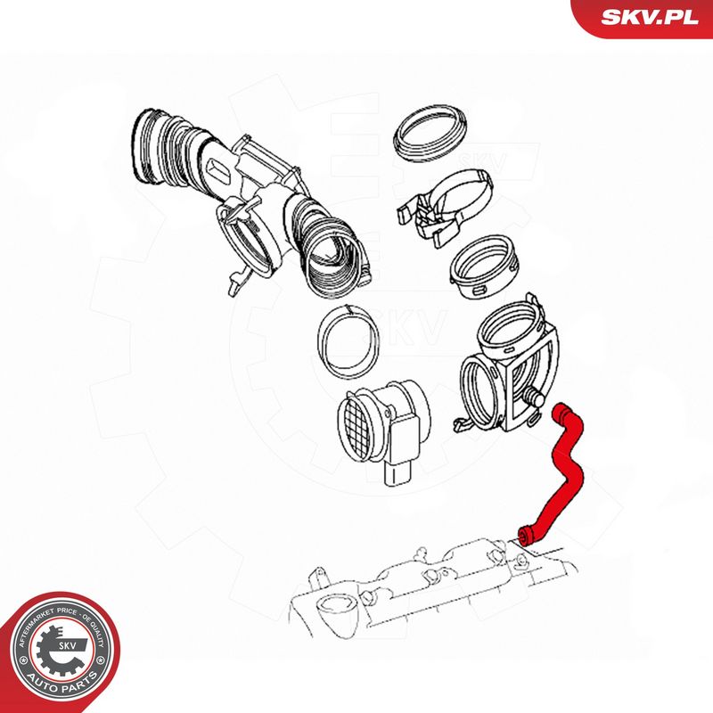 Voolik, Karterituulutus, ESEN SKV 31SKV121