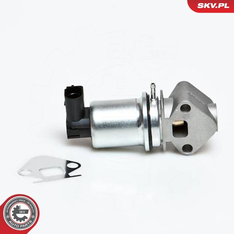 EGR-klapp, ESEN SKV 14SKV007