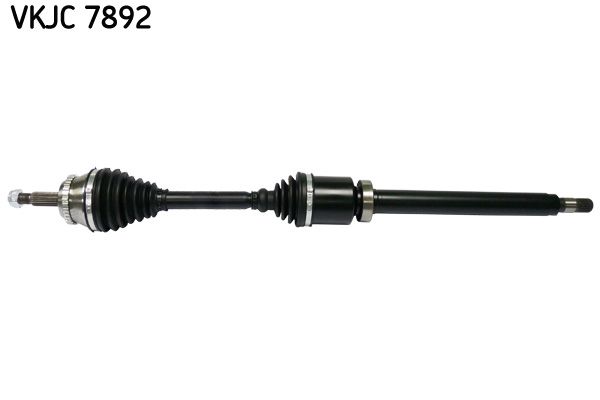 VKJC 7892.JPG