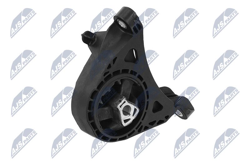 Paigutus, Mootor, NTY ZPS-PL-011