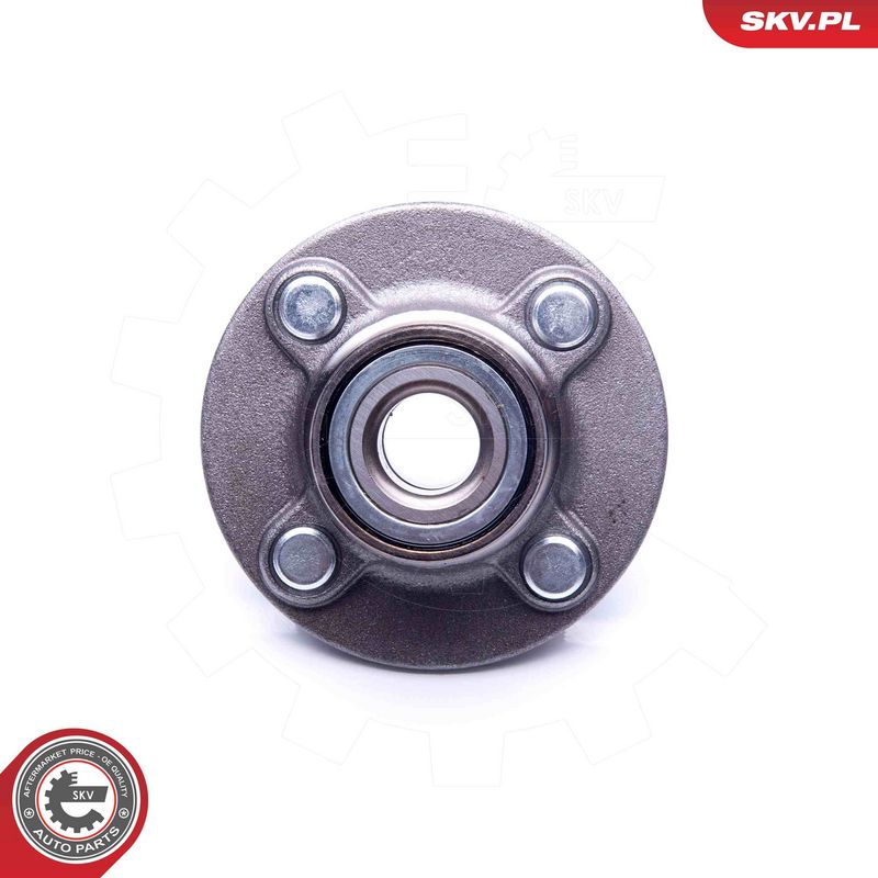 Rattalaagrikomplekt, ESEN SKV 29SKV194