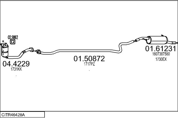 CITR46428A.JPG