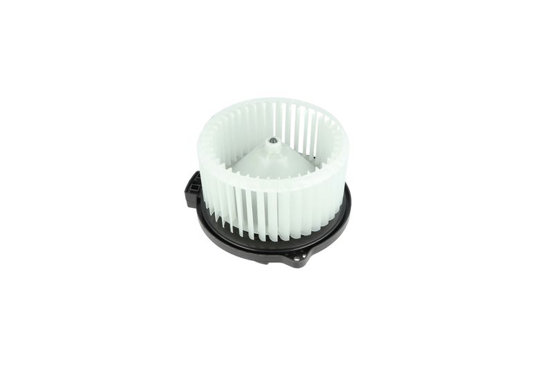 Salongipuhur, NRF 34329