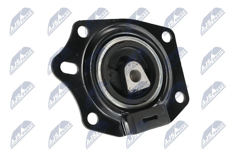 Paigutus, Mootor, NTY ZPS-CH-014